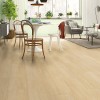 PARQUET SINTÉTICO PROMO 5 AC5-32 8mm